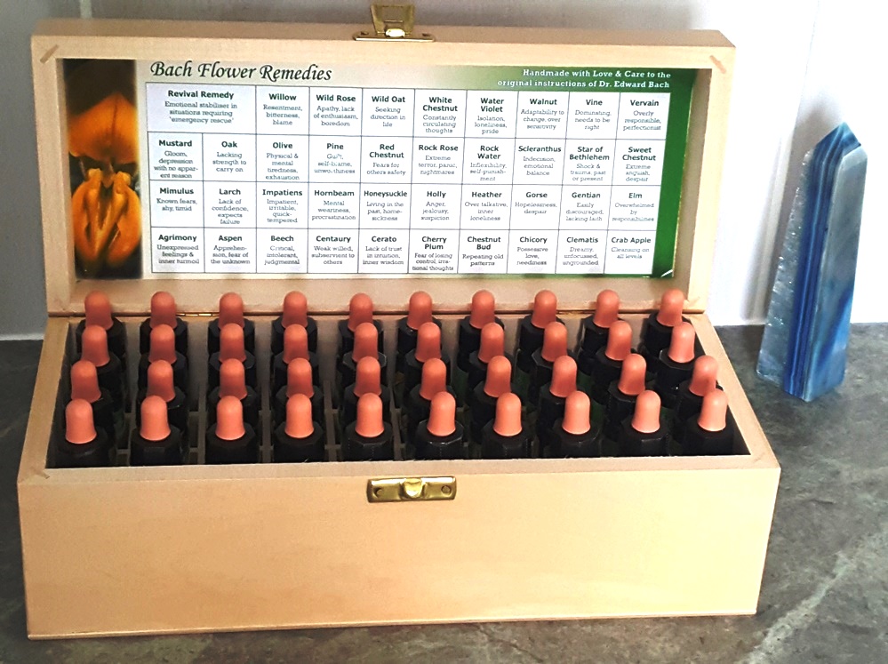 Bach Flower Remedies Remedy box professional advice emotional essences healing with Cheryl Colpman