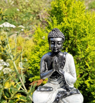 Buddha statue tree background guided meditation Cheryl Colpman